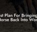 Best Plan For Bringing A Horse Back Into Work