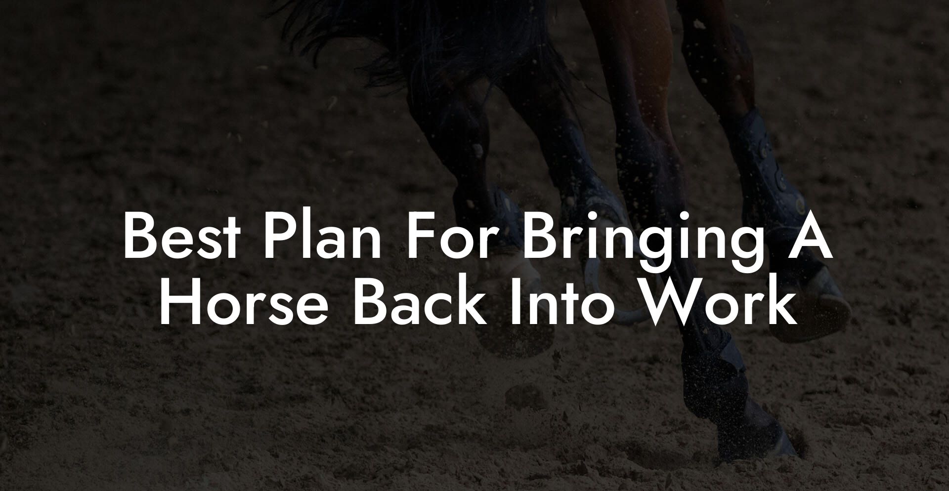 Best Plan For Bringing A Horse Back Into Work