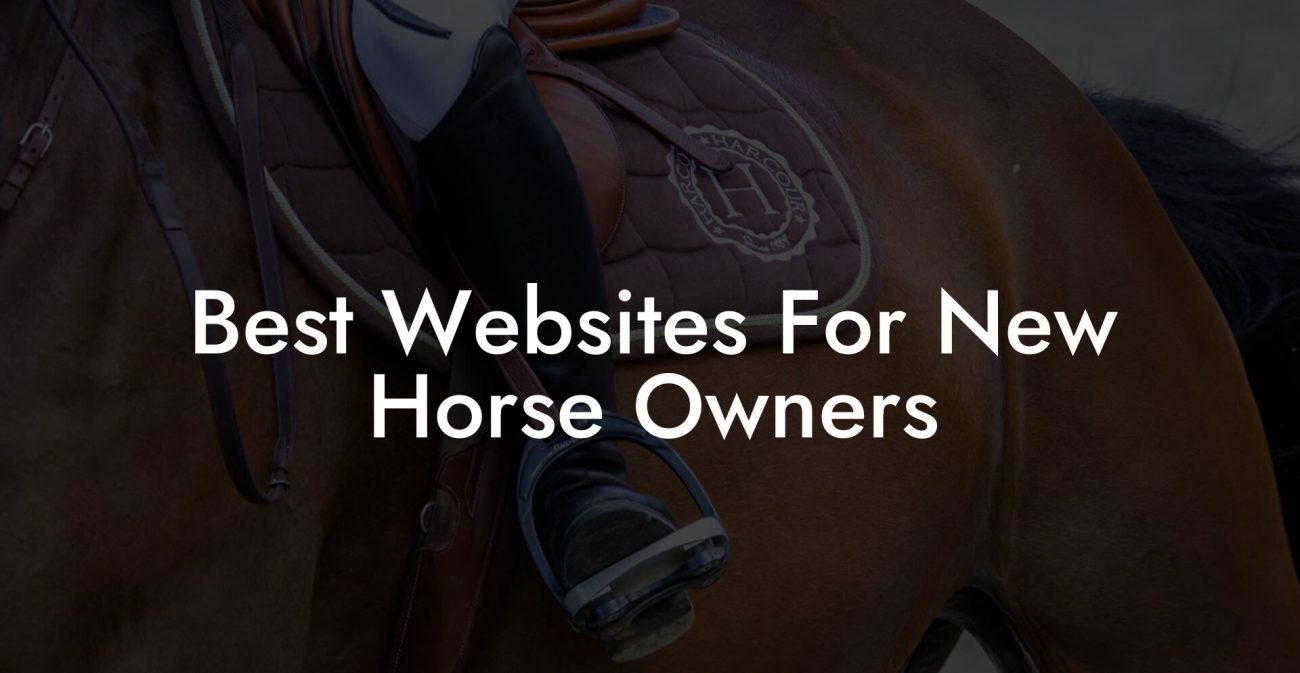 Best Websites For New Horse Owners