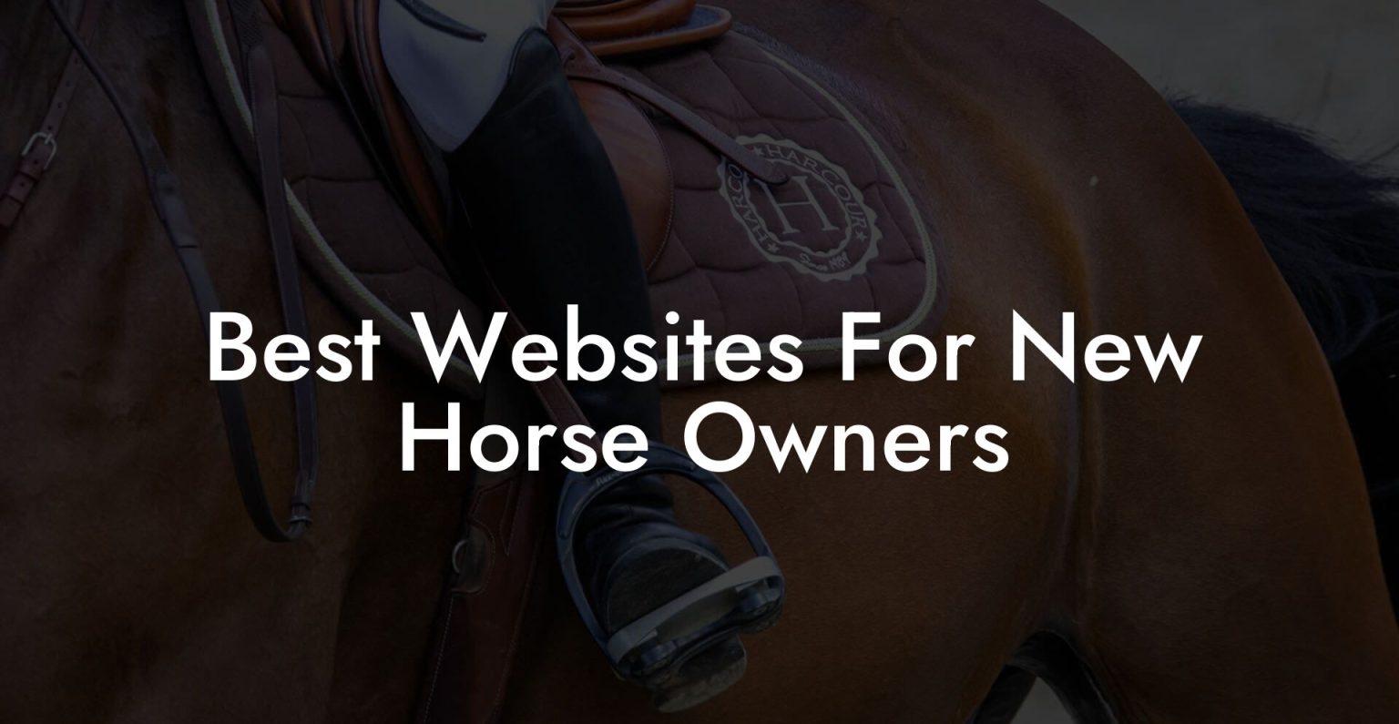 Best sites For New Horse Owners How To Own a Horse