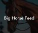 Big Horse Feed
