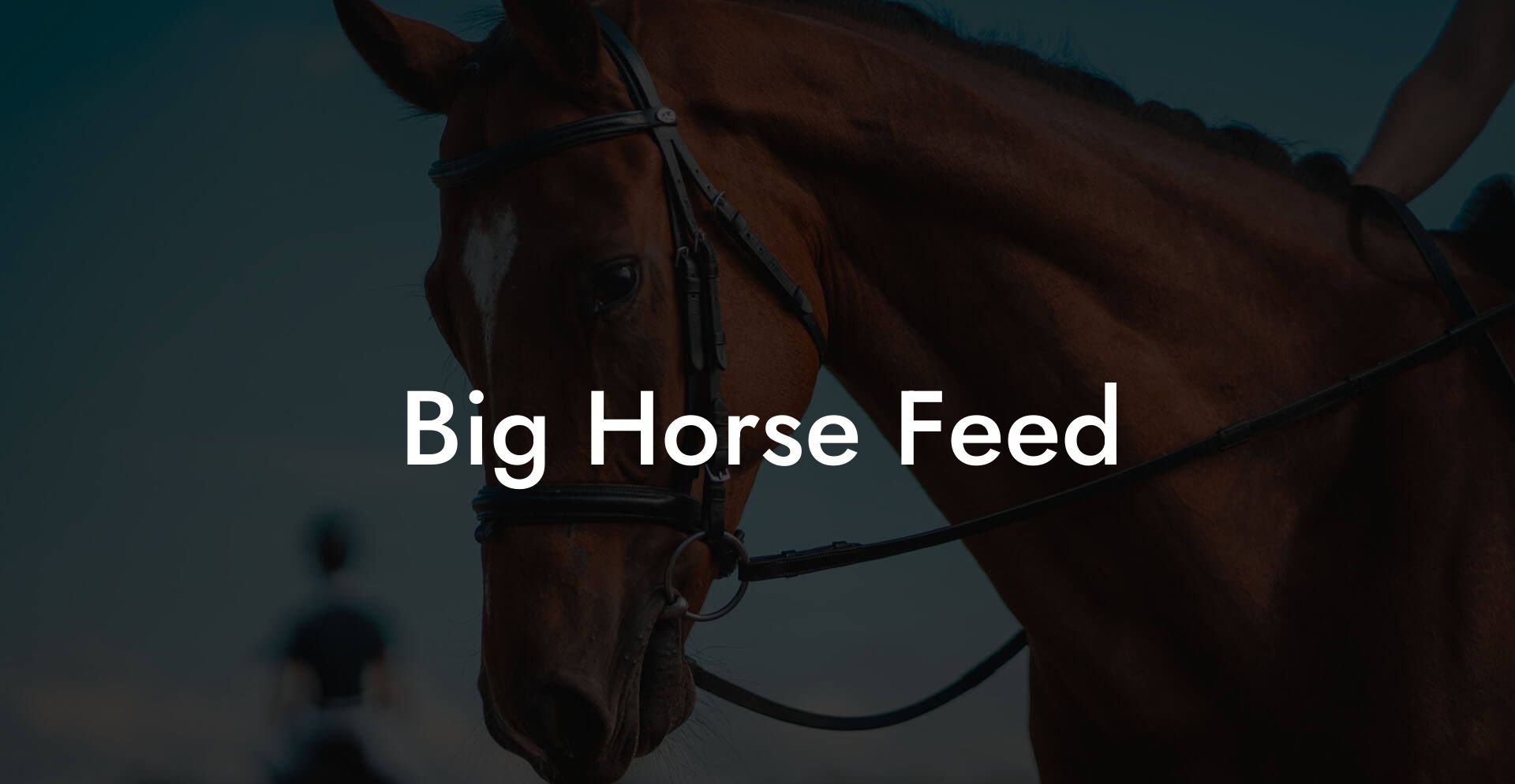 Big Horse Feed