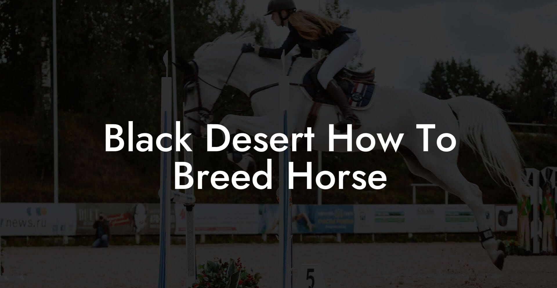 Black Desert How To Breed Horse