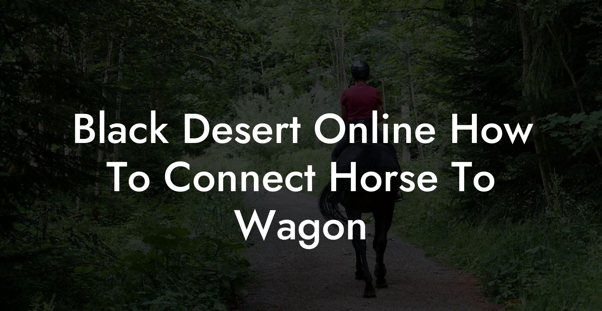 Black Desert Online How To Connect Horse To Wagon