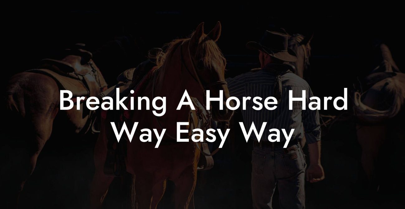 Breaking A Horse Hard Way Easy Way