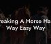 Breaking A Horse Hard Way Easy Way