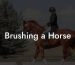 Brushing a Horse