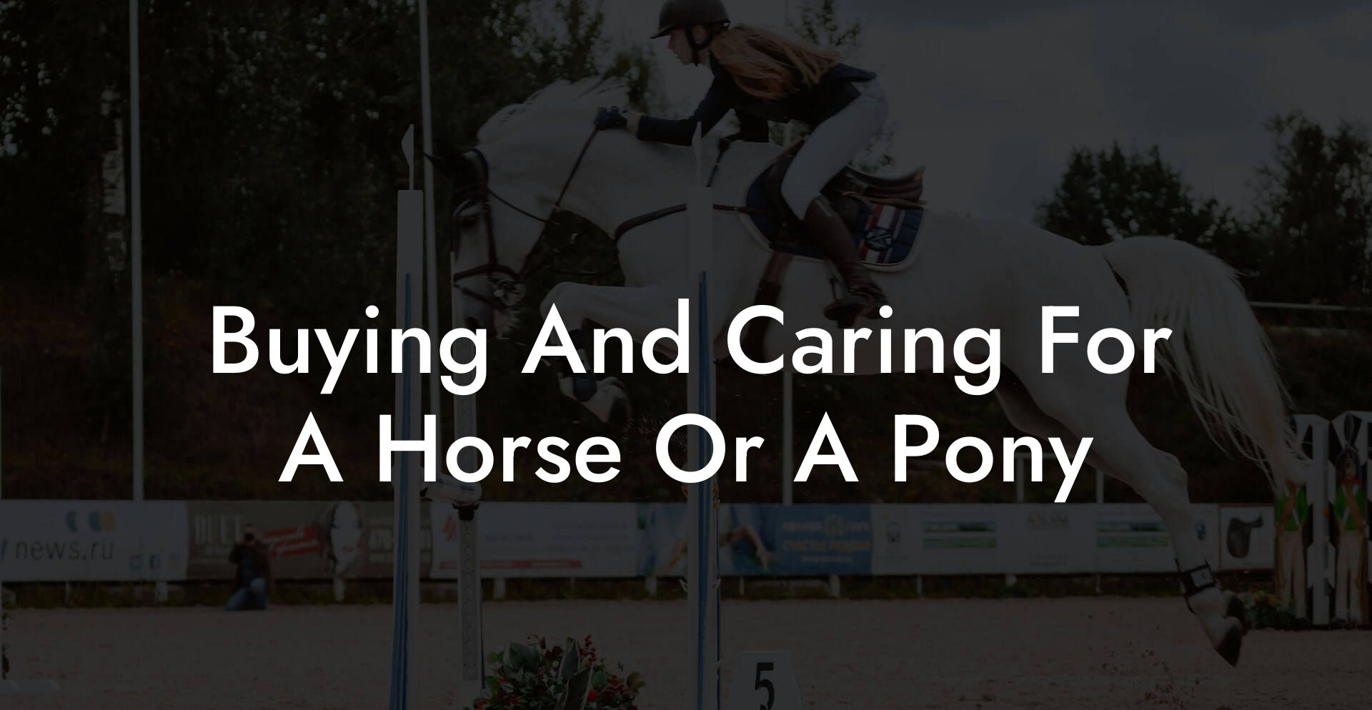 Buying And Caring For A Horse Or A Pony