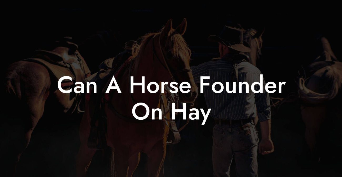 Can A Horse Founder On Hay