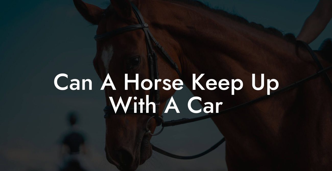 Can A Horse Keep Up With A Car
