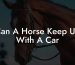 Can A Horse Keep Up With A Car