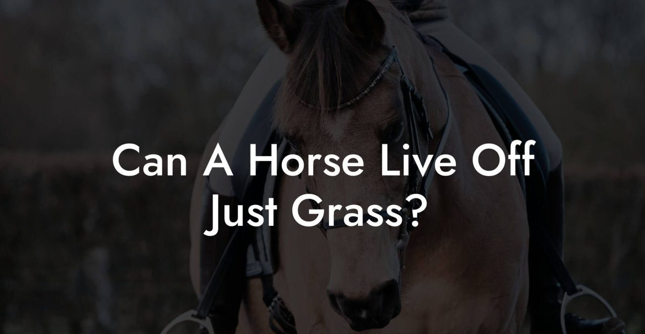 Can A Horse Live Off Just Grass?