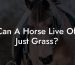 Can A Horse Live Off Just Grass?