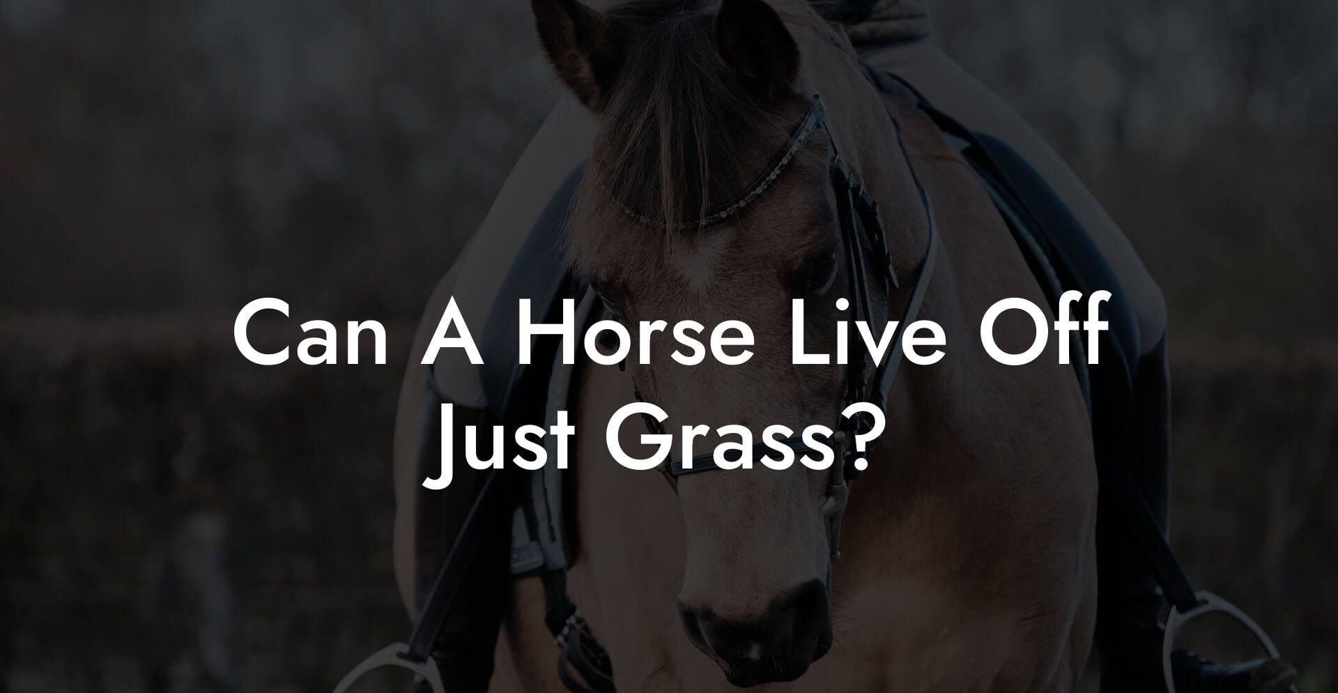 Can A Horse Live Off Just Grass?