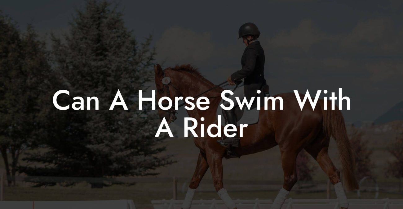 Can A Horse Swim With A Rider
