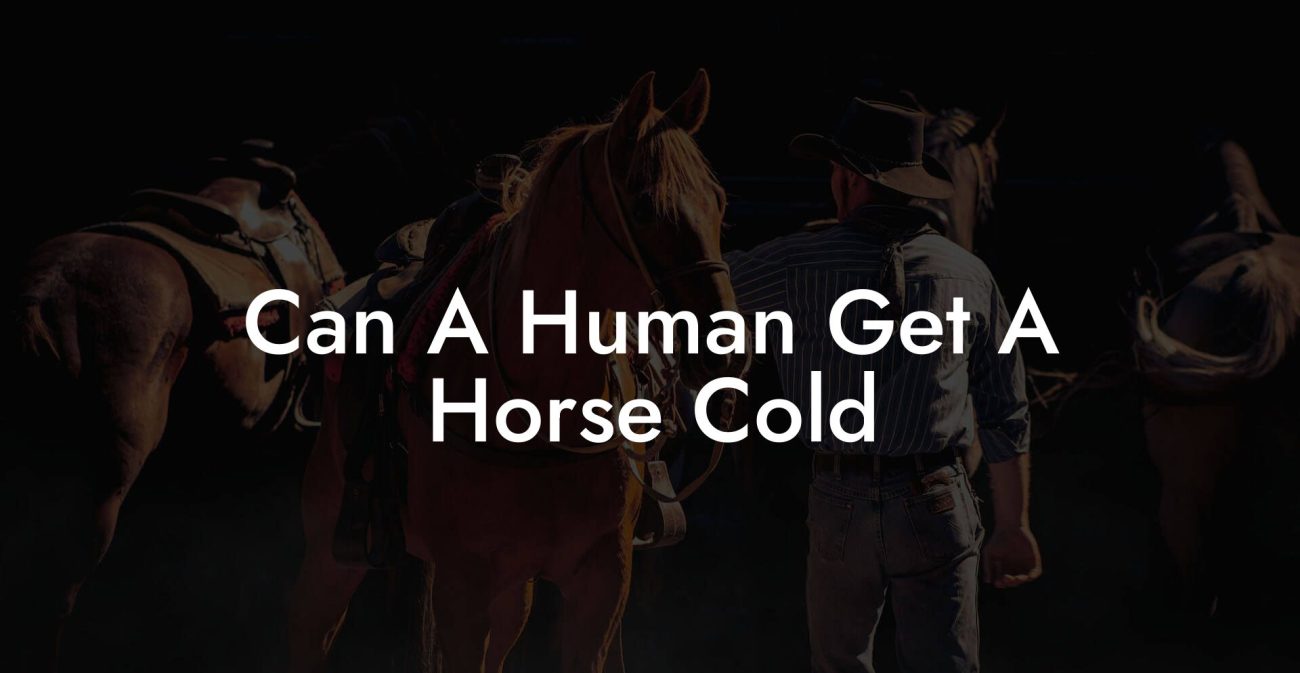 Can A Human Get A Horse Cold