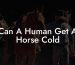 Can A Human Get A Horse Cold