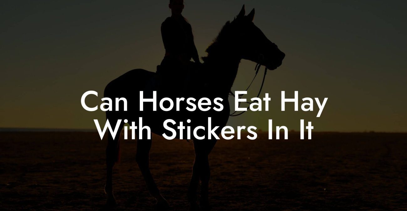 Can Horses Eat Hay With Stickers In It