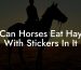 Can Horses Eat Hay With Stickers In It