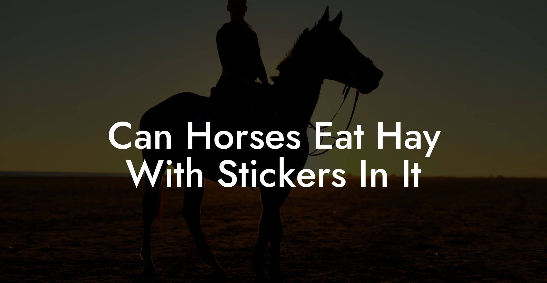 Can Horses Eat Hay With Stickers In It