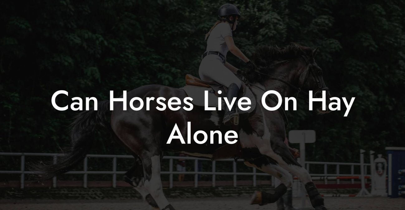 Can Horses Live On Hay Alone