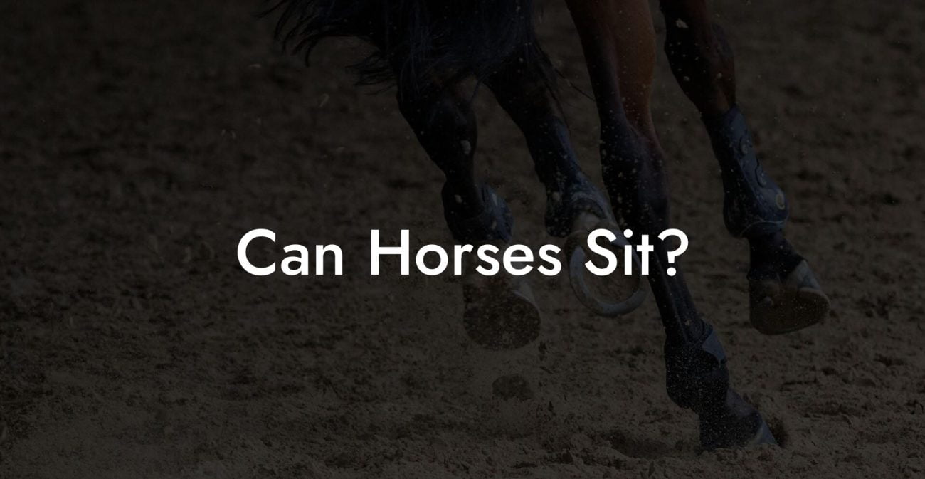 Can Horses Sit?