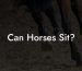 Can Horses Sit?