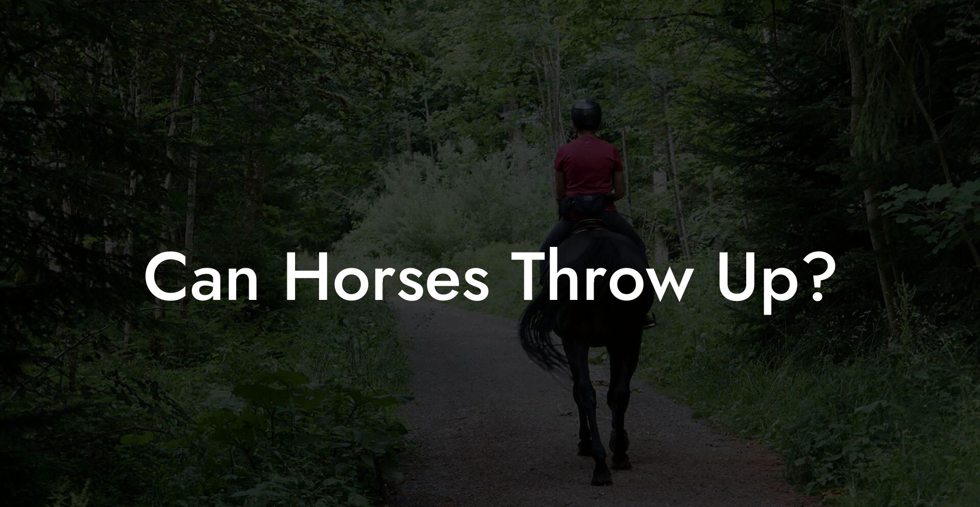 Can Horses Throw Up?