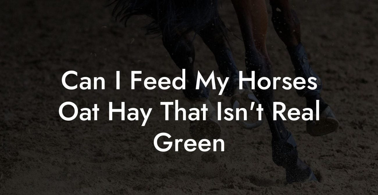 Can I Feed My Horses Oat Hay That Isn't Real Green