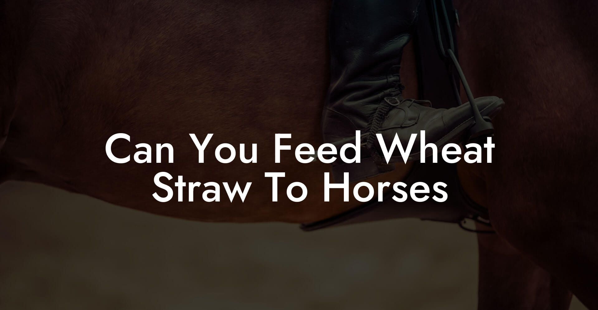 Can You Feed Wheat Straw To Horses