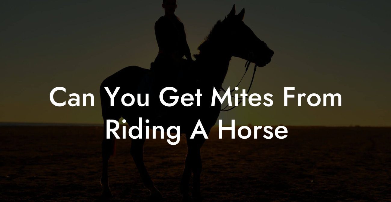 Can You Get Mites From Riding A Horse