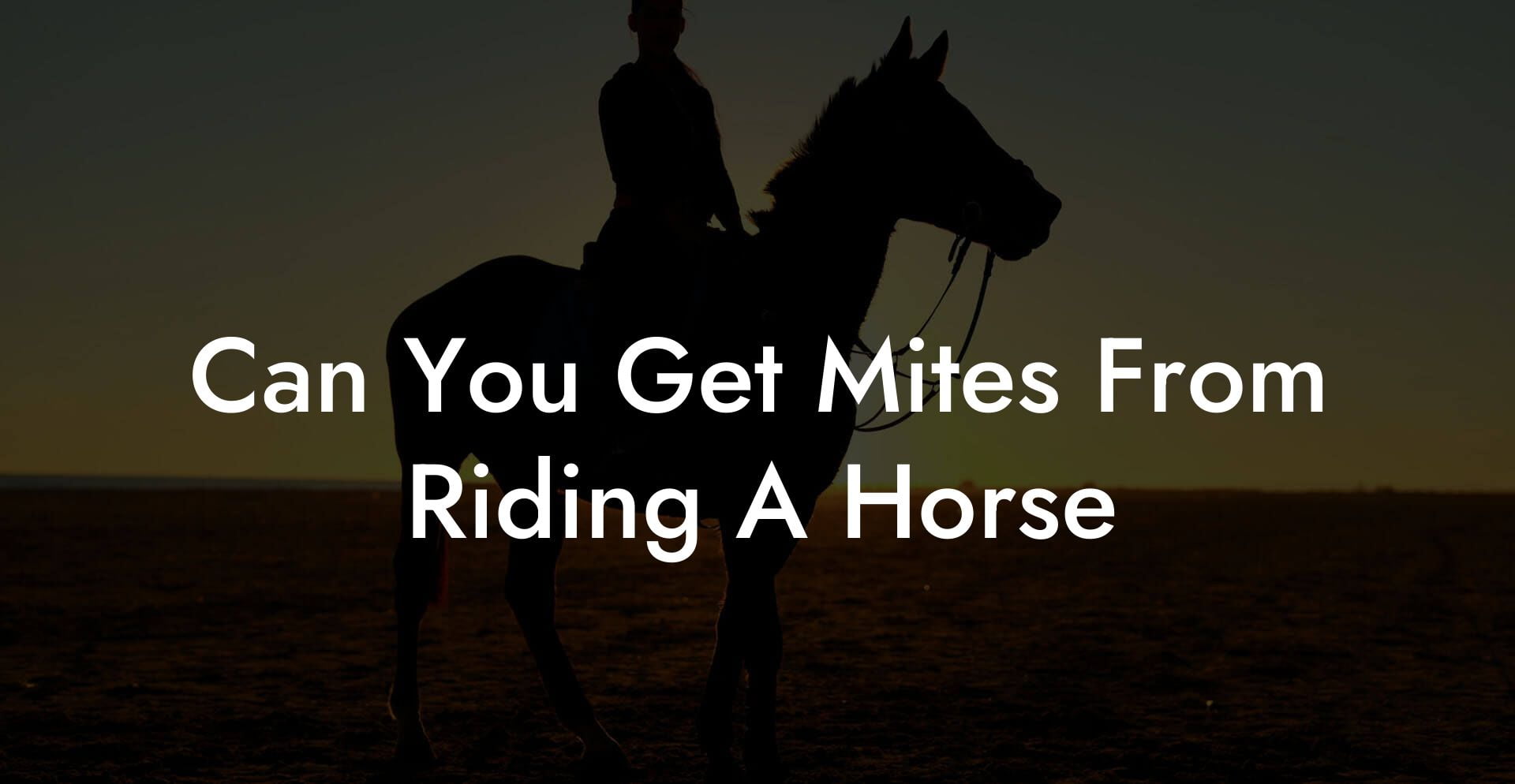 Can You Get Mites From Riding A Horse