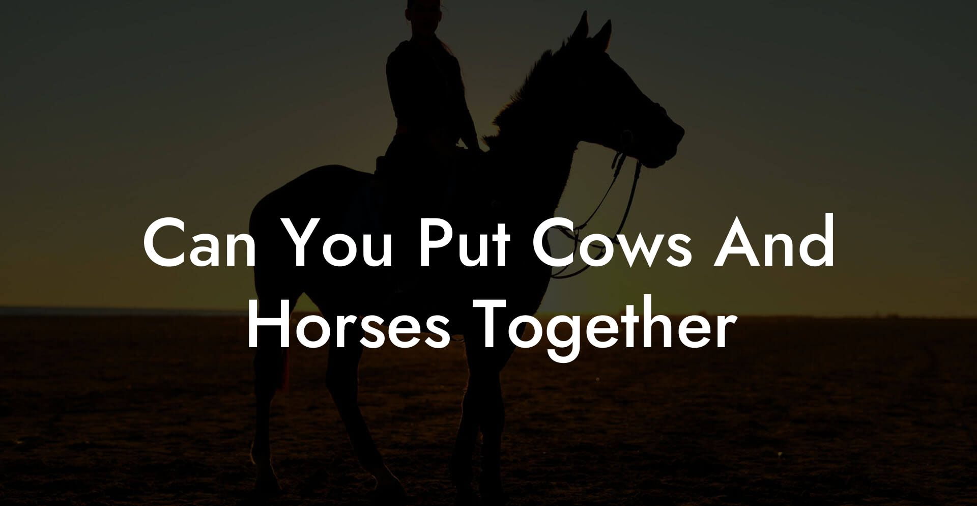 Can You Put Cows And Horses Together
