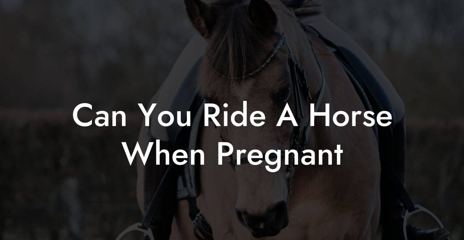 Can You Ride A Horse When Pregnant How To Own a Horse