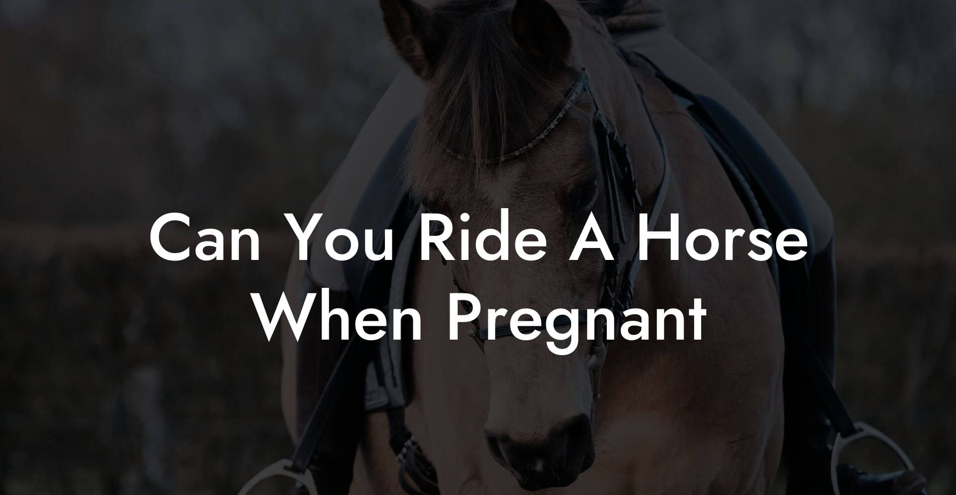 Can You Ride A Horse When Pregnant