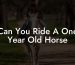 Can You Ride A One Year Old Horse