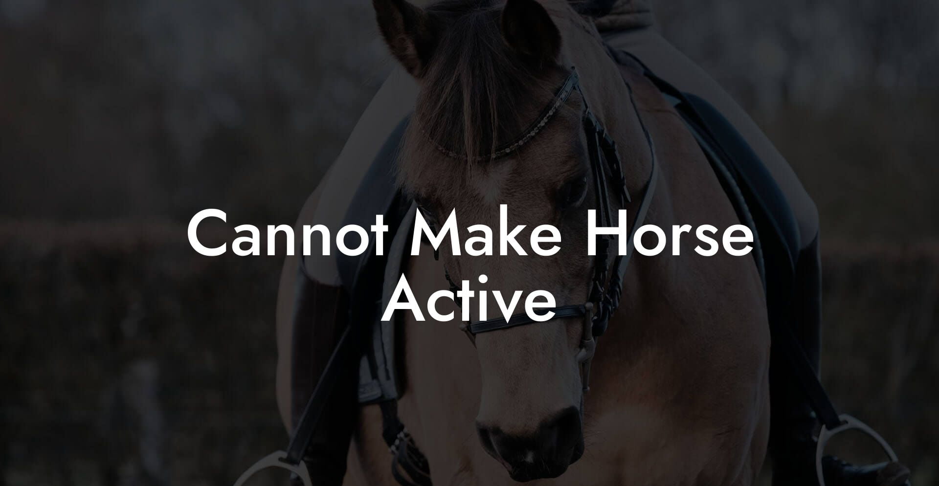 Cannot Make Horse Active