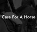 Care For A Horse
