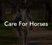 Care For Horses