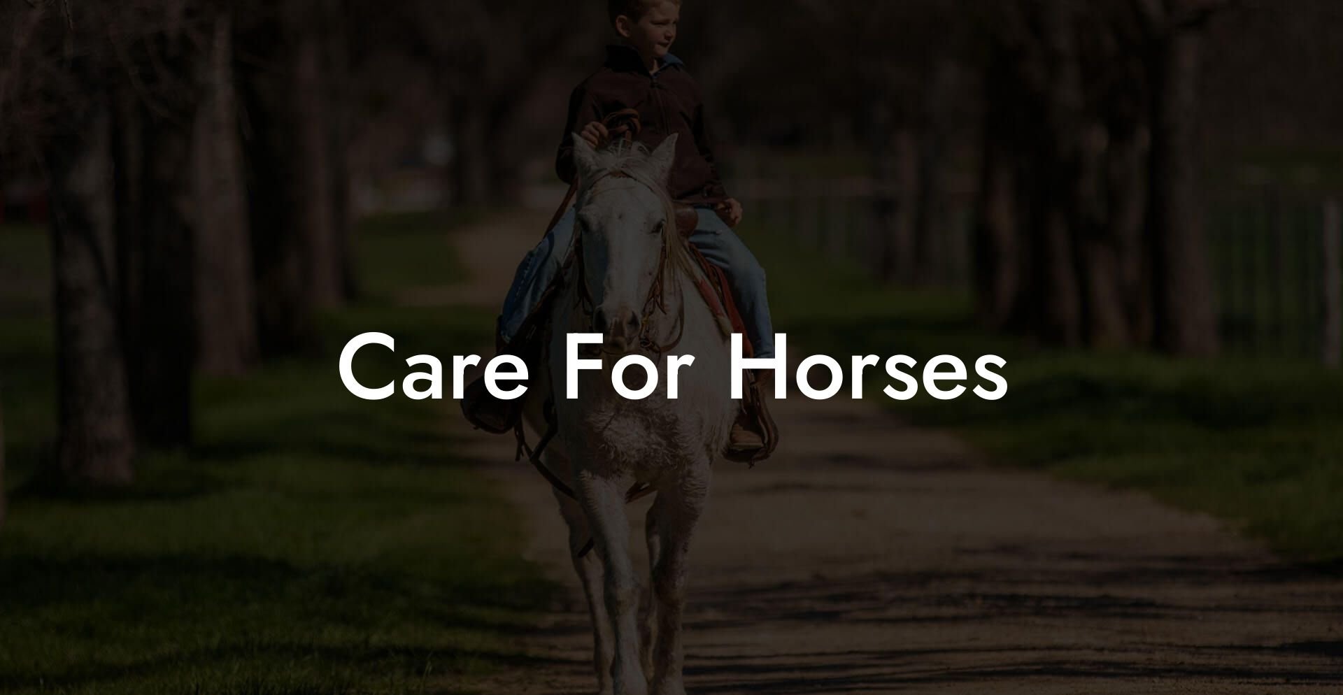 Care For Horses