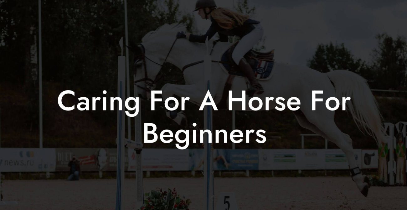 Caring For A Horse For Beginners