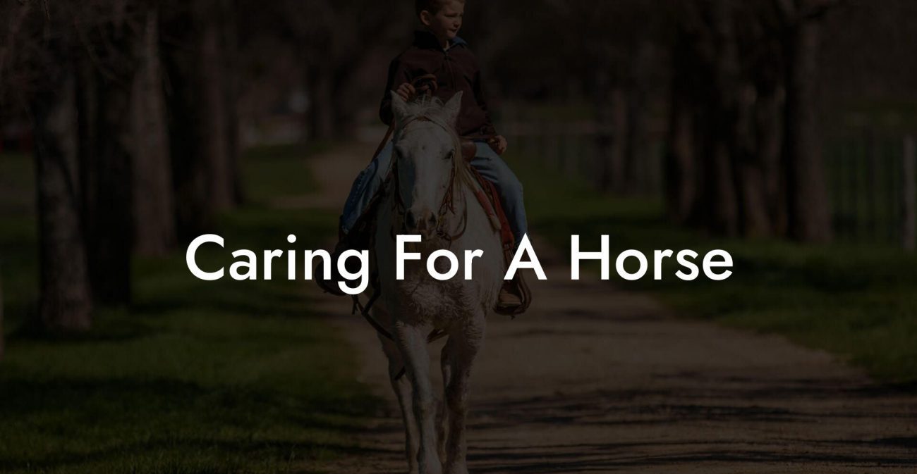 Caring For A Horse