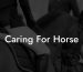 Caring For Horse