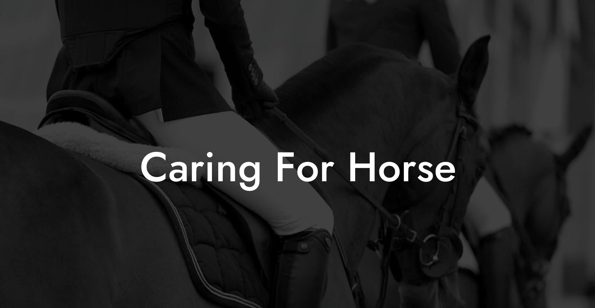 Caring For Horse