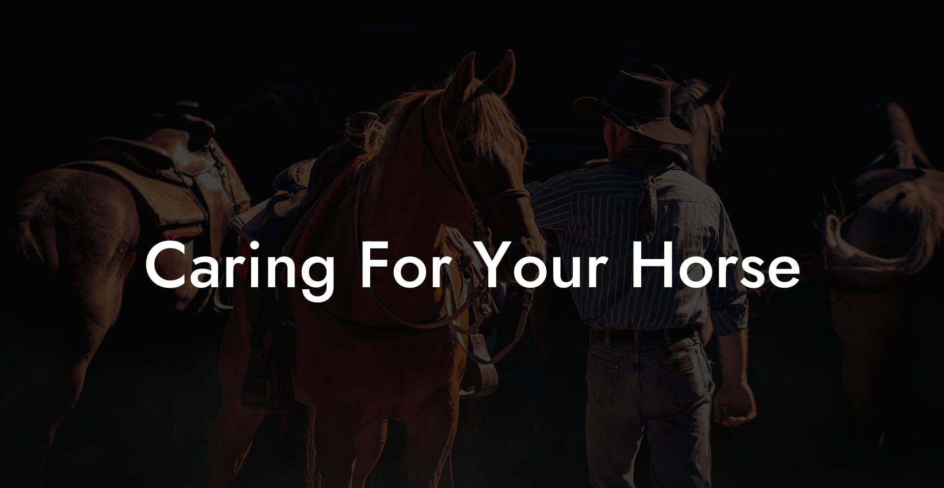 Caring For Your Horse