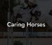 Caring Horses