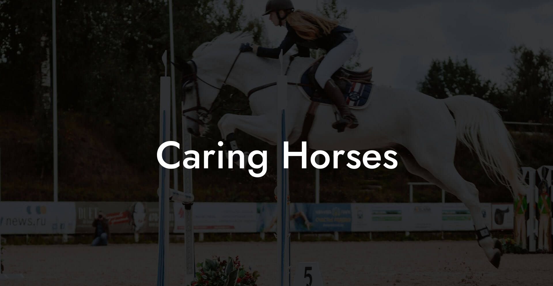 Caring Horses