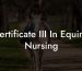 Certificate III In Equine Nursing
