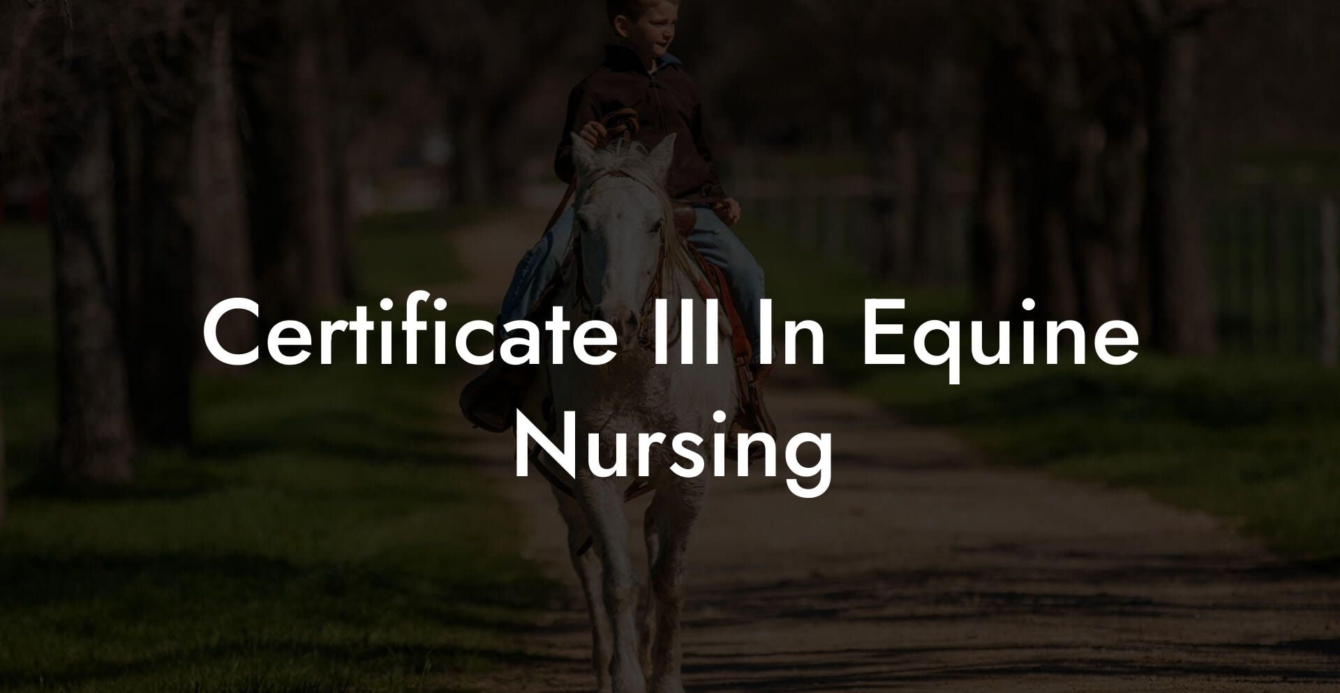 Certificate III In Equine Nursing