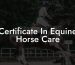 Certificate In Equine Horse Care